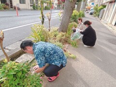 添付画像